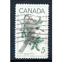 Канада - 1968г. - птицы - 1 марка - полная серия, гашёная [Mi 419]. #3-WB-92-A-1