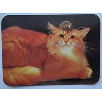 Календарик 2000 г. Кошка и мышка.