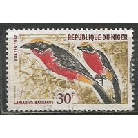 Нигер(Республика). Певчие сорокопуты. 1967г. Mi#151.