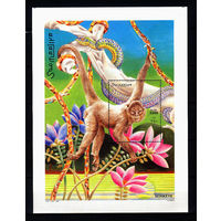 2002 Сомали. Обезьяны