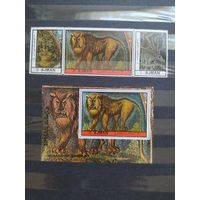 Аджман блок и сцепка 1972 г. Фауна.