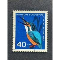 Германия 1963. Молодежный хостел - Птицы. Альседо аттис