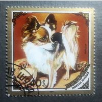 Монголия 1984 год Собака