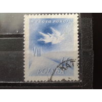 Польша 1955 Велогонка мира
