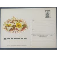 СССР 1978 почтовая карточка, приглашение .