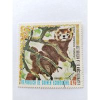 Эк.Гвинея 1976