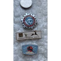 Значки Мурманск праздник севера, 3 шт