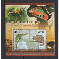 Джибути 2013** Животные Африки