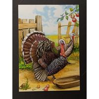 Индюк Беларусь Белпочта 2012