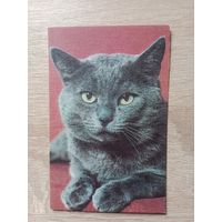 Календарик 1990