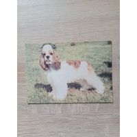 Календарик 1993