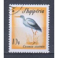 [125] Албания 1965. Фауна.Птицы.Аист. Гашеная марка.