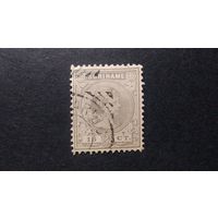 Суринам.\36с\ Королева. 1892\93