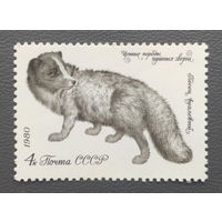 СССР.1980.Пушные звери, песец (1 марка, чистая)