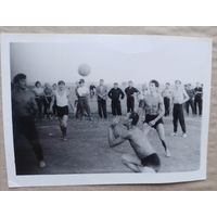 Фото Целина