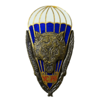 Знак УС РБ Волк Спецназ ССО ВДВ