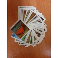 Вкладыши Baycan BomBibom полная 1 серия 1-60. Состояние отличное! Доставка бесплатно.