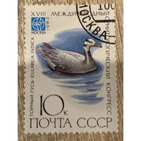 СССР 1982. Горный гусь. Марка из серии