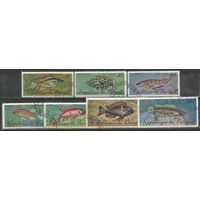 Бурунди. Животный мир страны. Рыбы. 1967г. 7 марок.