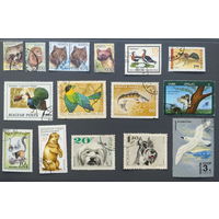 Марки. Сборный лот на тему "Фауна" (16 марок)