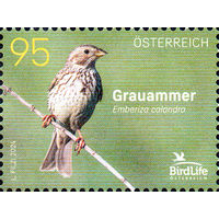 Птицы Австрия 2024 год серия из 1 марки