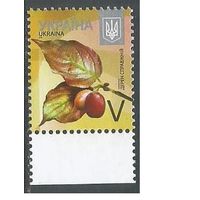 Украина. 8-й стандарт. Кизил. 2015г. Mi#1500.