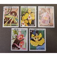 Марки. Куба. 1980 год. Флора. Цветы (неполная серия, 5 марок из набора)