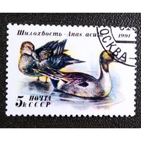 Марка СССР 1991 год Утки