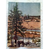 1957. Соколов. Елка