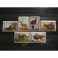 СССР 1957 Фауна х 6