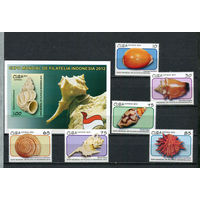 Куба - 2012 - Моллюски и ракушка - [Mi. 5588-5593 bl. 292] - 6 марок и 1 блок. MNH.  (Лот 83Gz)-T4P38