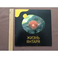 Красочный буклет-книга Жизнь янтаря (3691)