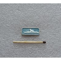 Водно-моторный спорт.