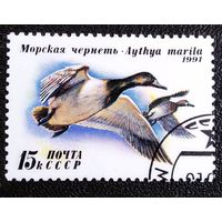 Марка СССР 1991 год Утки