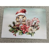 Открытка белочка в новогоднем колпаке, остролист, шишки. Новый год. Чистая