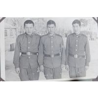 Фото в коллекцию