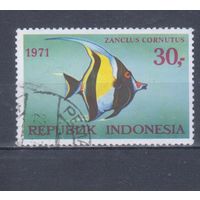 [1491] Индонезия 1971. Фауна.Рыба. Гашеная марка. Кат.гаш.4,6 е.