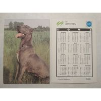 Карманный календарик. Собака.1993 год