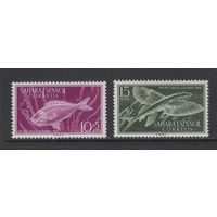 Испанская Сахара 1954**  Морская фауна