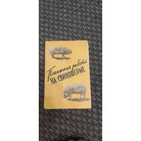 Племенная работа на свиноферме. Москва 1958 год.