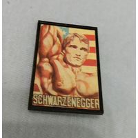 Значки 90-х, Арни!!!