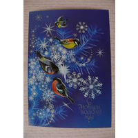 Коробова Н., С Новым годом! 1983, 1984, чистая, ДМПК (снегири, синицы).