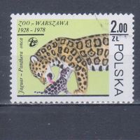 [2148] Польша 1978. Фауна.Дикие кошки.Ягуар. Гашеная марка.