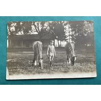 Фотооткрытка 1 Мировая война Германия офицер в униформе с лошадьми / полевой лагерь