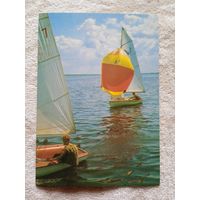 Парусник. Фото