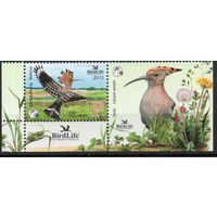 Беларусь 2013. Птица года. Удод. 1 марка+купон 949 (641)