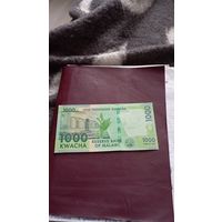 МАЛАВИ 1000 квача 2020 год