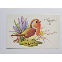 Пешехонов 1989 Поздравляю