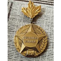 Знак " Трудовая слава" Минская область, БССР.
