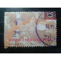 Босния и Герцеговина, 2006. Европа. Интеграция. Mi-2,5 евро гаш.